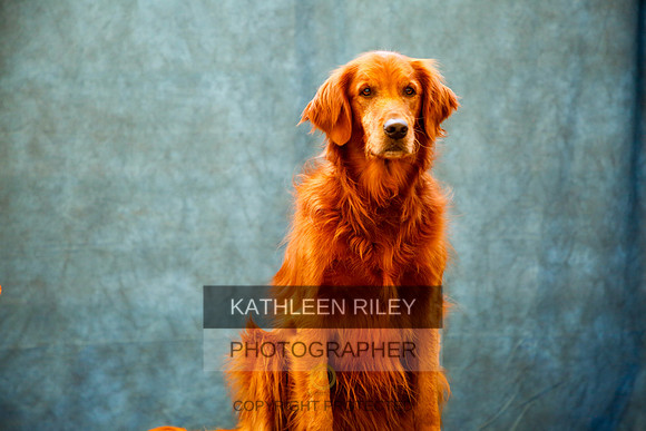2022-KathleenRileyPhotography-0111