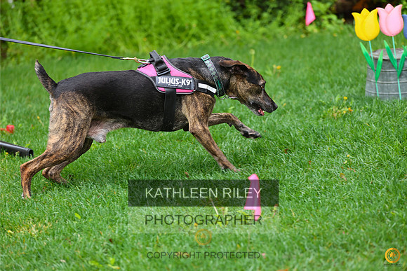 20230514-RileyPhoto-SJLT6838