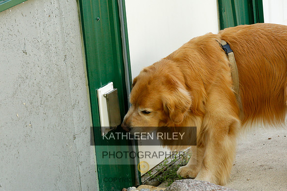 2022-KathleenRileyPhotography-0255
