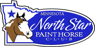 Nortstar_Paint