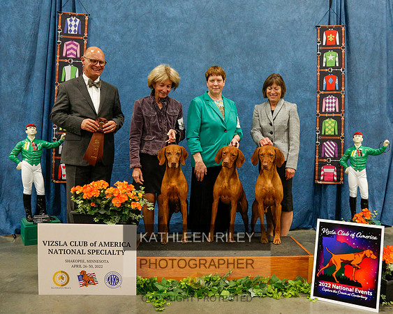 2022-KathleenRileyPhotography-6531