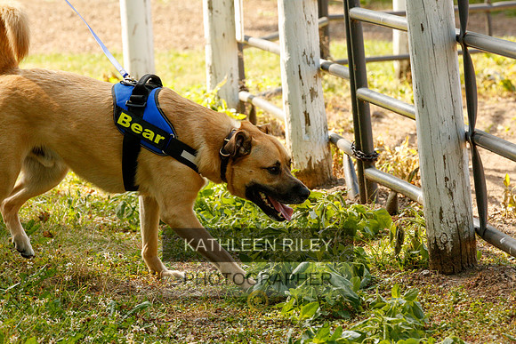 2022-KathleenRileyPhotography-0128