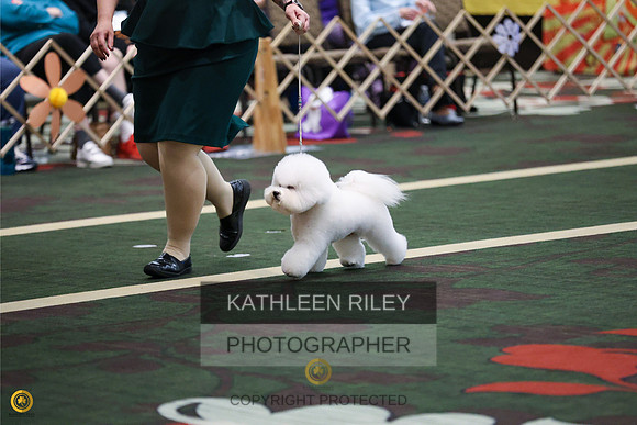 RileyPhoto-SJLT1776-20230504