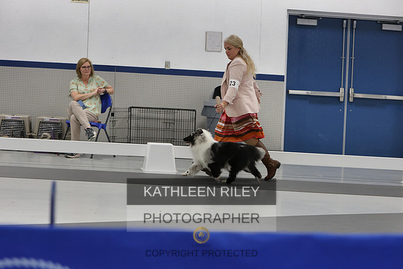 KARD2986
