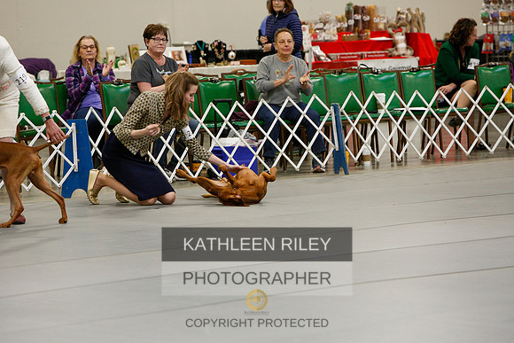 2022-KathleenRileyPhotography-5884