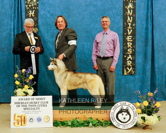 JAM-Saturday CH TOPAZ HONKY CAT. WS63644701. 11/3/2018. Dog. Breeder: Cheryl French& Lauren House. By GCH CH Trepak's Upside Down Under - CH Topaz Red CatFizz. Owner(s): JEFFERY ANCLAM AND PATRICIA AN