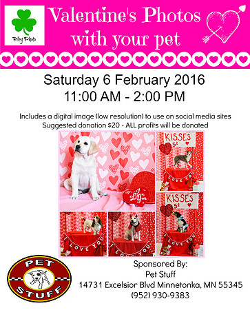Valentine's Day 2016 dog photos at Pet Stuff in Minnetonka, Minnesota