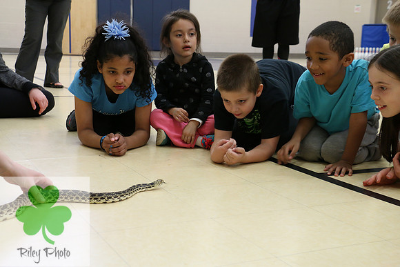 Minnesota Master Naturalist Explorers || Kathleen Riley Photography