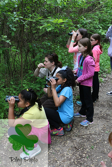 Minnesota Master Naturalist Explorers || Kathleen Riley Photography