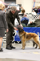 Land O Lakes Kennel Club Dog Show 2016