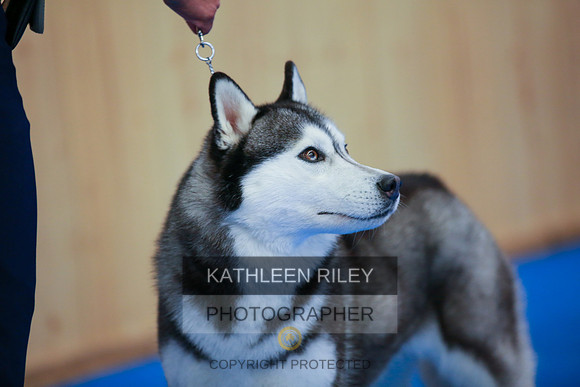 2022-KathleenRileyPhotography-6228