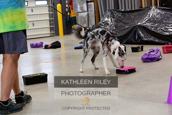 2022-KathleenRileyPhotography-7046