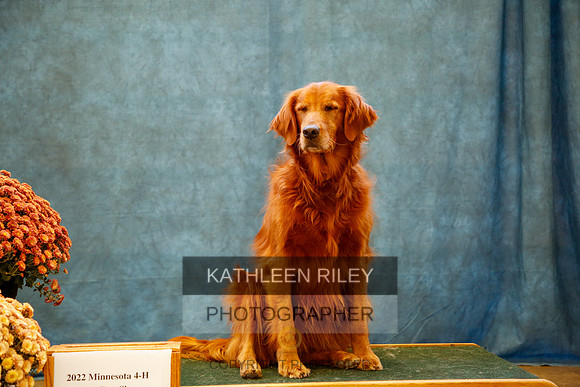 2022-KathleenRileyPhotography-0110