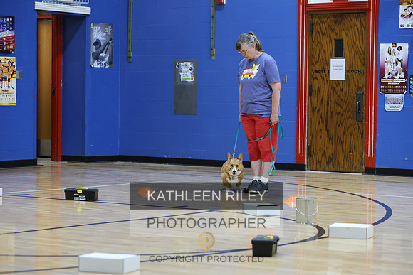 1N5A5589