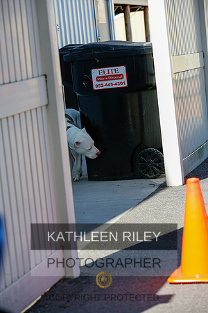 2022-KathleenRileyPhotography-4061