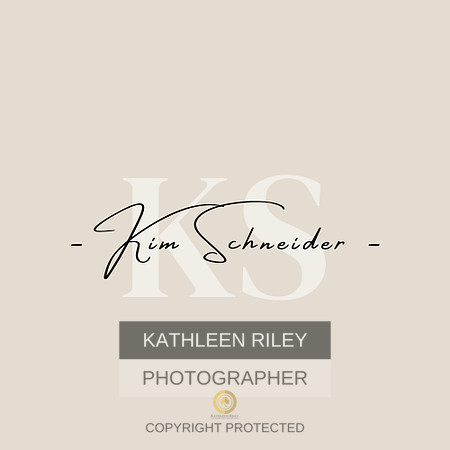 - Kim Schneider -