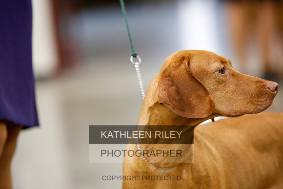 2022-KathleenRileyPhotography-2365
