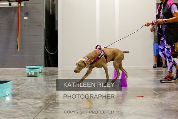 2022-KathleenRileyPhotography-5985