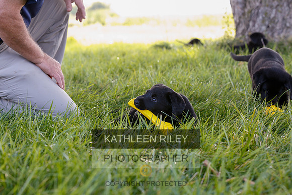 2022-KathleenRileyPhotography-7883