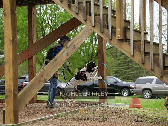 TSK00813