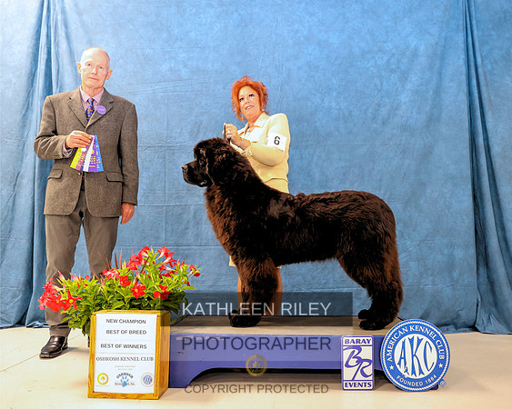 RileyPhoto-WGMC9832-20230520