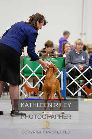 2022-KathleenRileyPhotography-1553