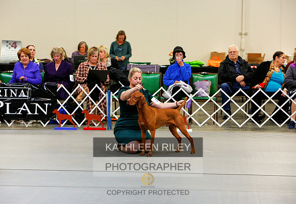 2022-KathleenRileyPhotography-5840 (1)
