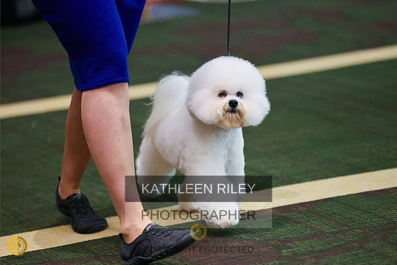 RileyPhoto-SJLT1703-20230504