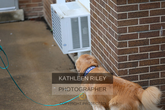 SJLT6989