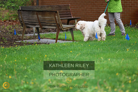RileyPhoto-SJLT4484-05142023