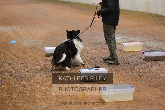 SJLT8063