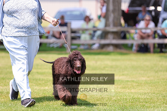 20230523-KARD3308