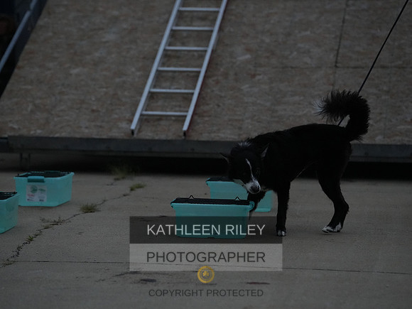 2022-KathleenRileyPhotography051