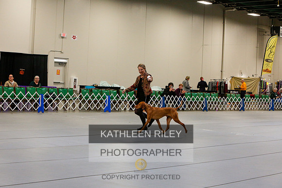 2022-KathleenRileyPhotography-3219
