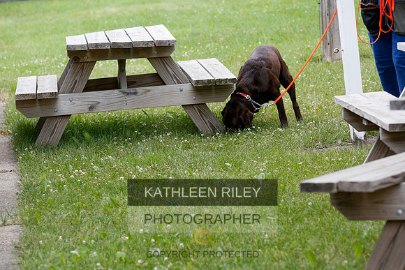 2022-KathleenRileyPhotography-9606