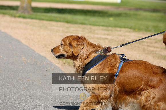 2022-KathleenRileyPhotography-4007