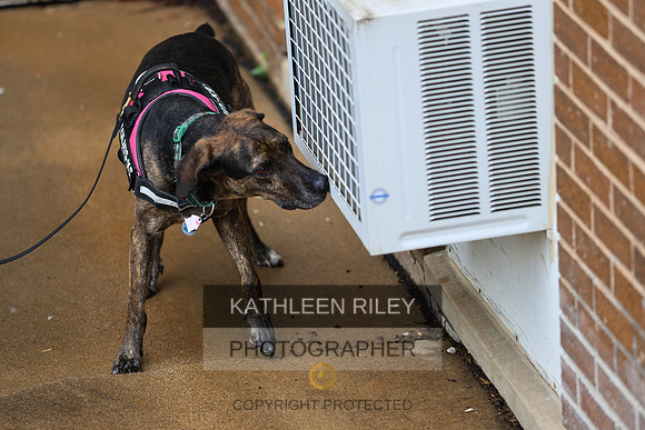 20230514-RileyPhoto-SJLT6827
