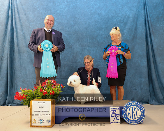 WGMC9965-20230520