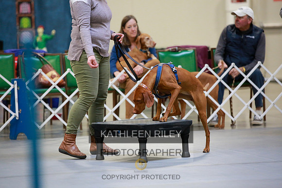 2022-KathleenRileyPhotography-7810