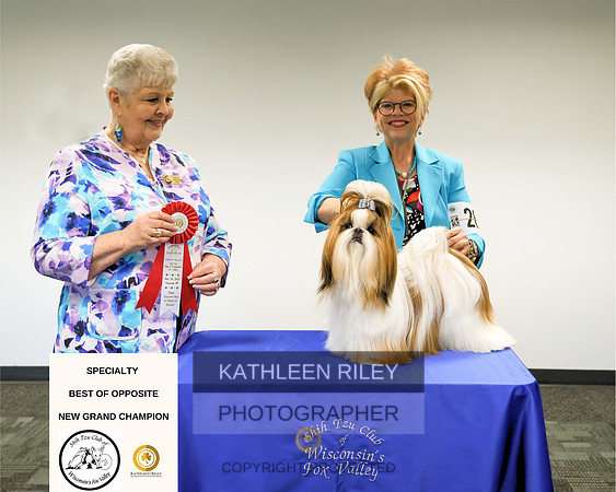 RileyPhoto-SPECIALTY-BOS-NEW-GRAND (1)