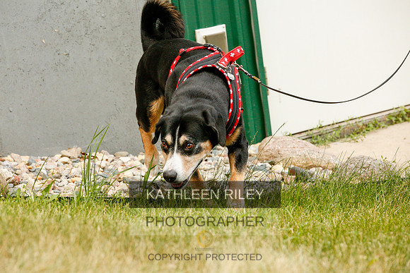 2022-KathleenRileyPhotography-0373