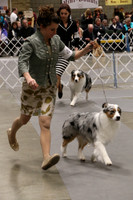PROOFS UNEDITED Land O Lakes Kennel Club Dog Show - SATURDAY