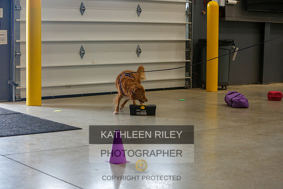 2022-KathleenRileyPhotography-4897