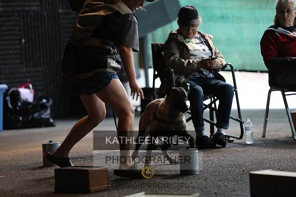 SJLT5188