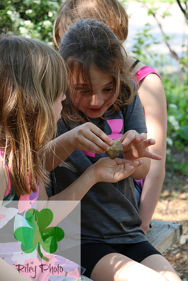 Minnesota Master Naturalist Explorers || Kathleen Riley Photography