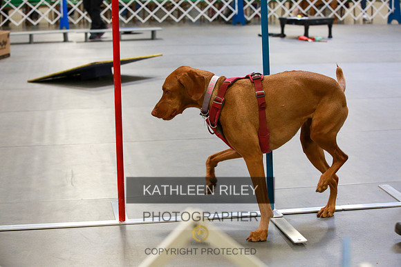 2022-KathleenRileyPhotography-7796