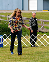 American Water Spaniel National Specialty 2013