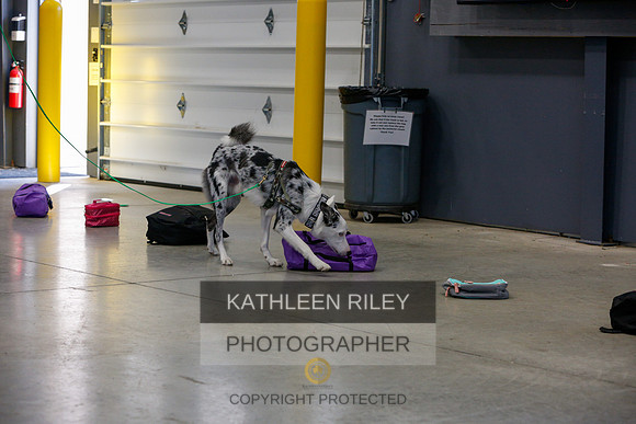 2022-KathleenRileyPhotography-4776