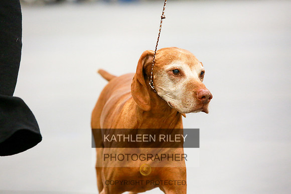 2022-KathleenRileyPhotography-8046