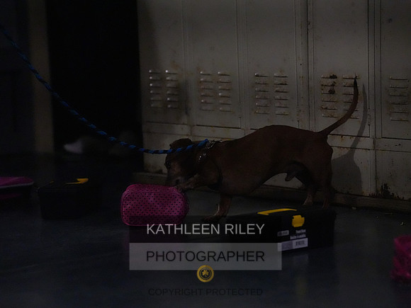 2022-KathleenRileyPhotography190